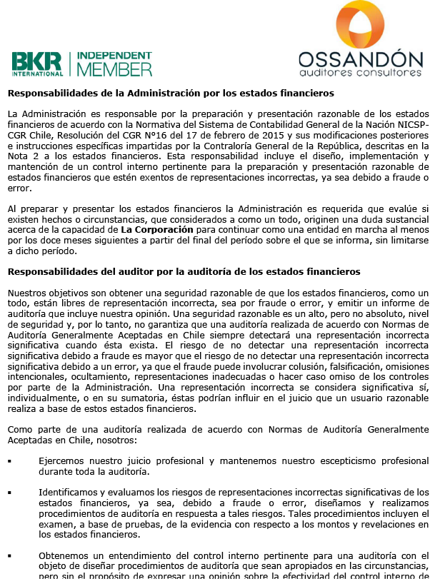 Informe de auditores externos