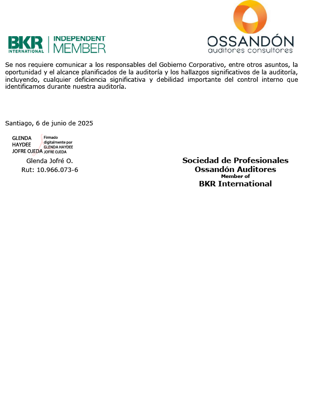 Informe de auditores externos
